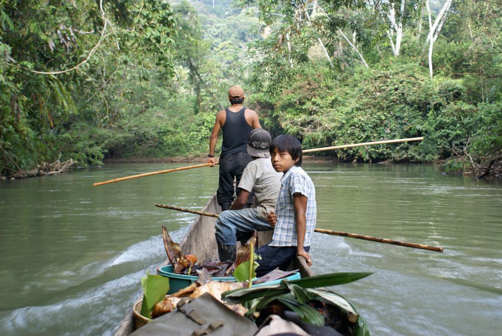 Voice of the Living Forest: Interview with Indigenous Resistance Leader José Gualinga